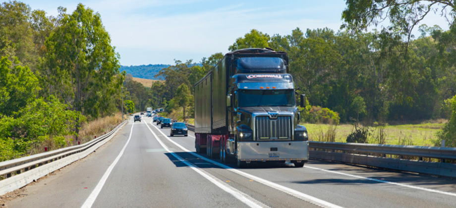 truck driving bruce highway near trees