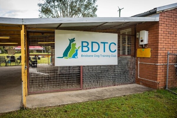 Brisbane_Dog_Training_after_2_600x