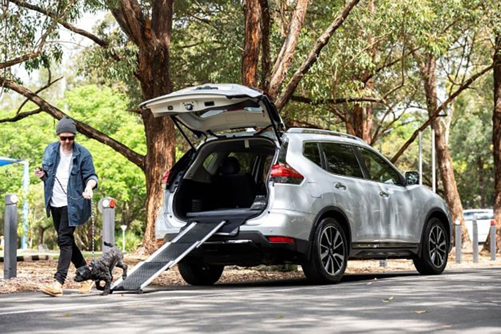 Nissan dog accessory pack