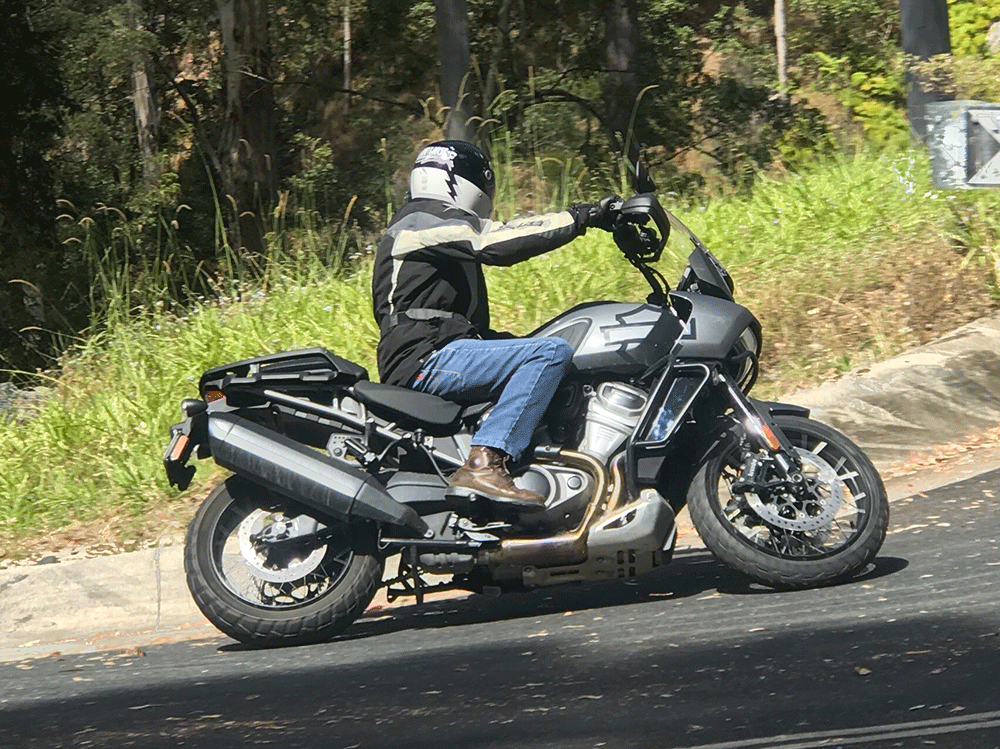 Harley-Davidson Pan America Special on country road.