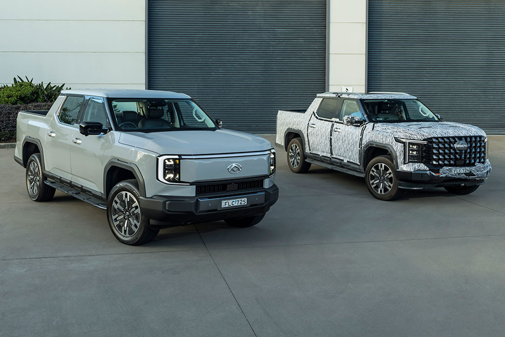 Two LDV Terron 9 utes.