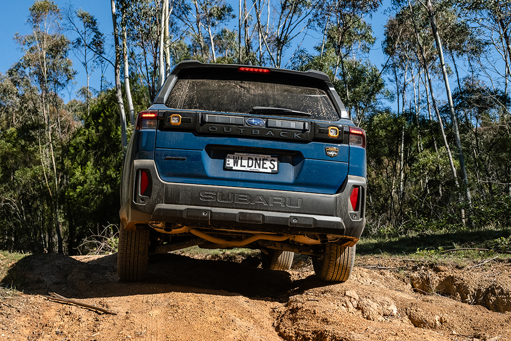 Subaru Outback Wilderness MY26 rear view.