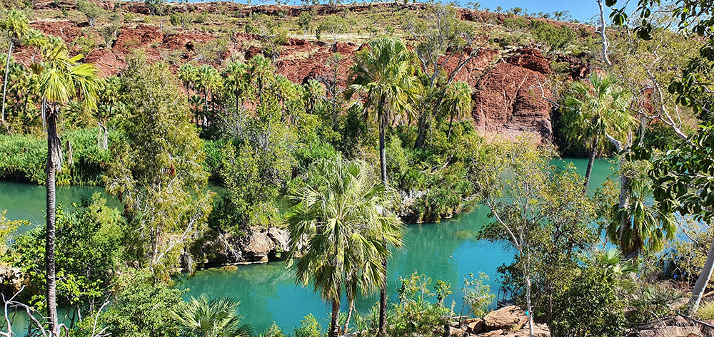 Oasis-like Lawn Hill Gorge in Boodjamulla National Park.