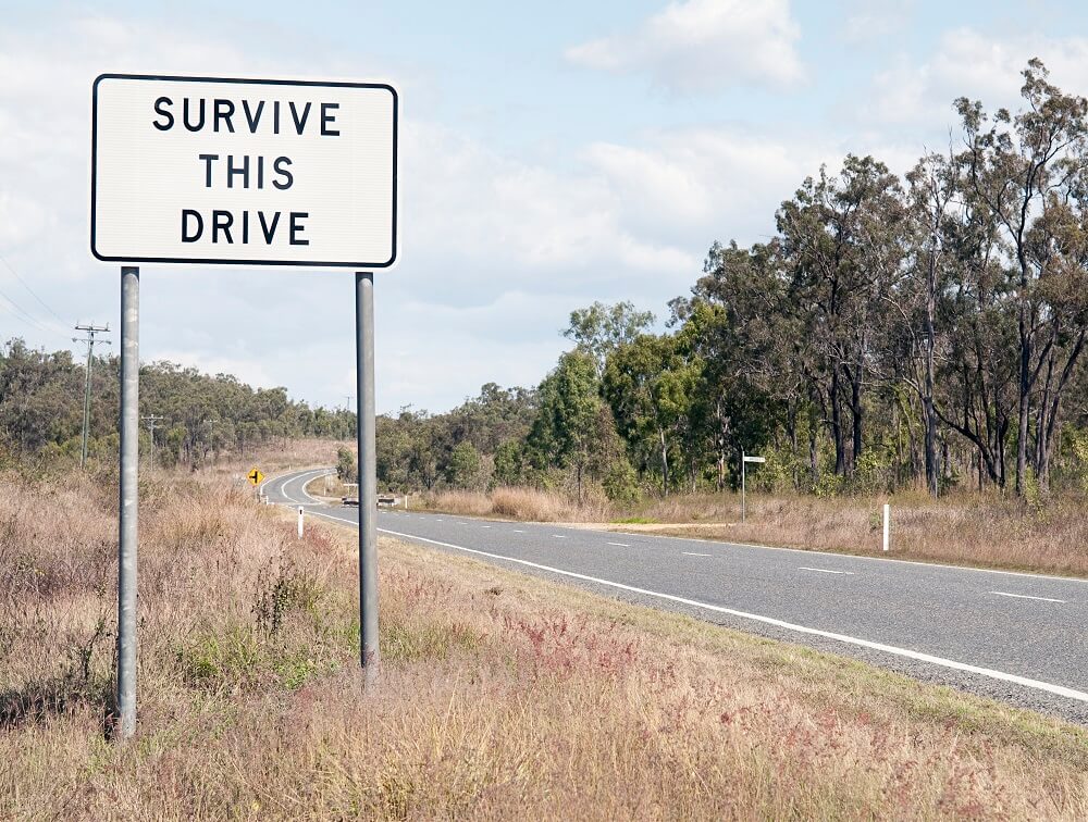 Survive this drive sign
