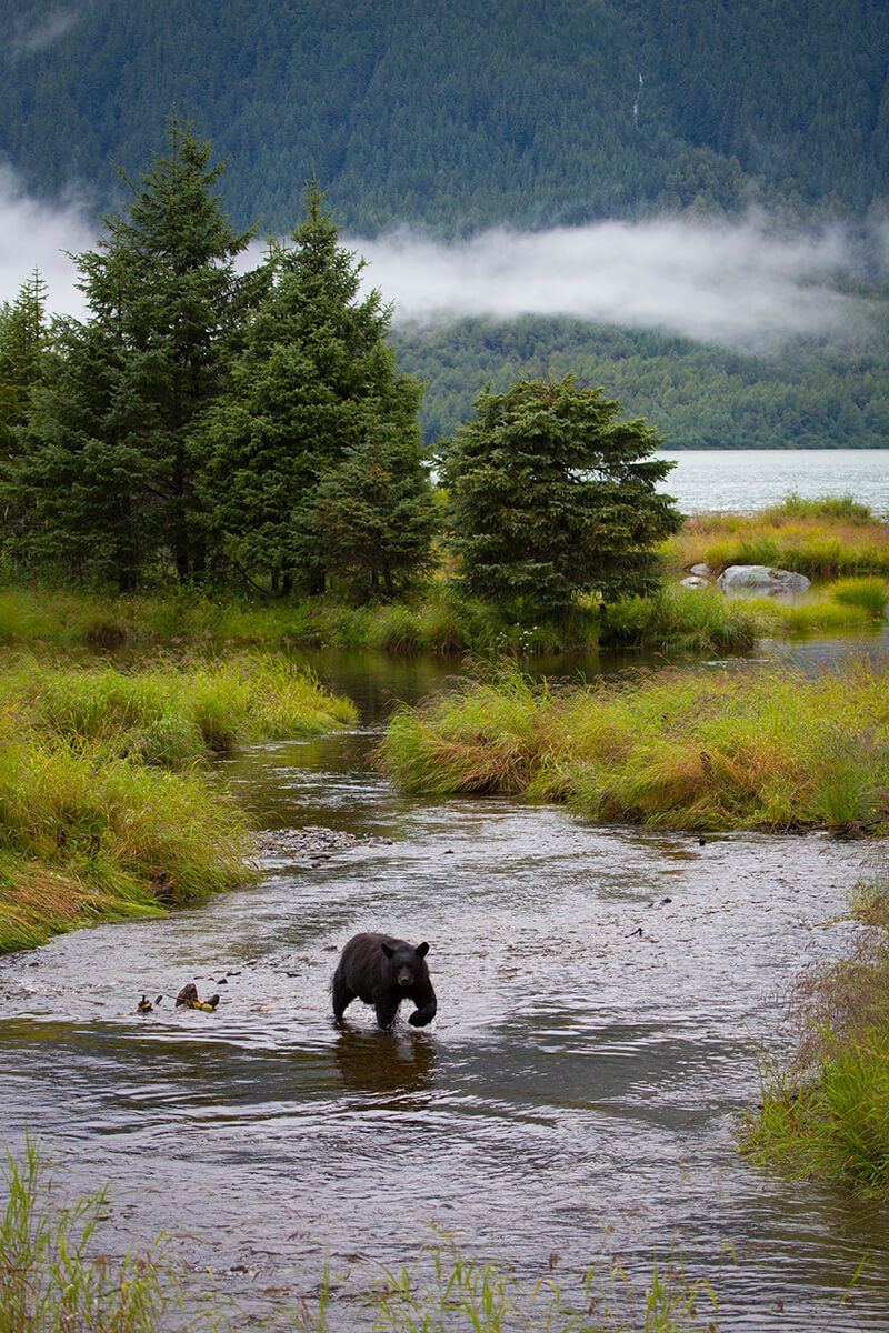 7Pride Alaska Mendenhall Glacier Juneau