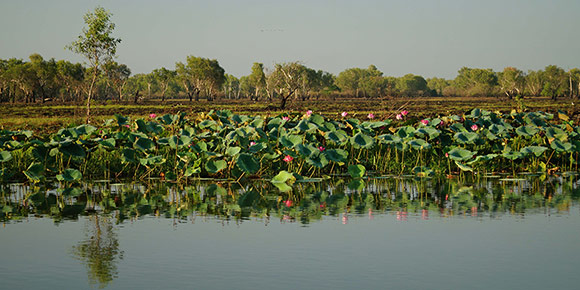 Mary-River-Wetlands-Northern-Territory