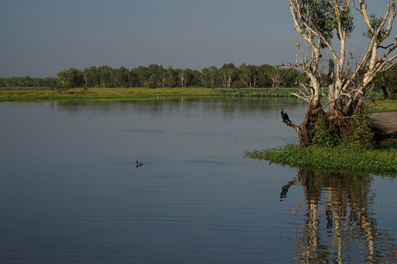 Yellow-Waters-northern-territory