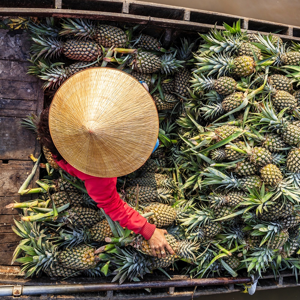Viet pineapple