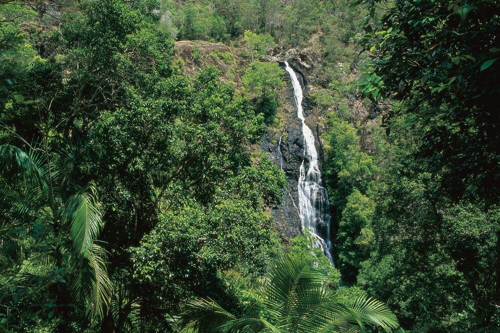 Mapleton Falls