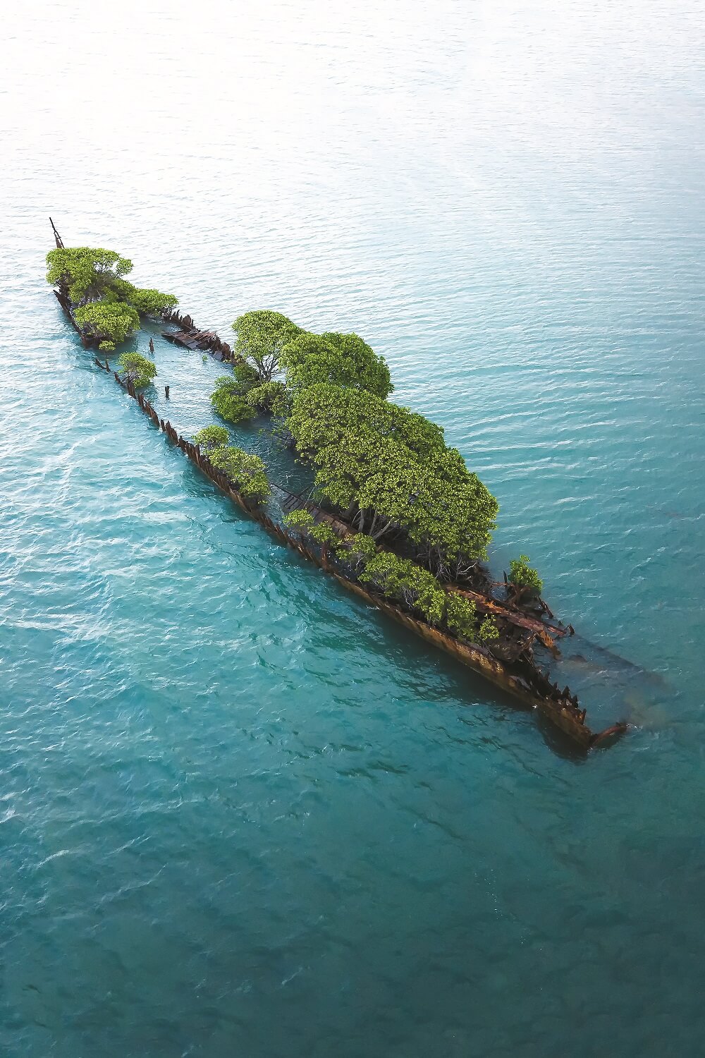 SS City of Adelaide 7200 x 10800 jpeg 1000px