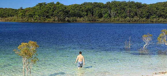 national park in queensland
