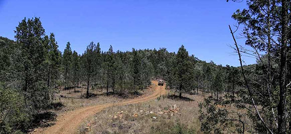 track in qld national park