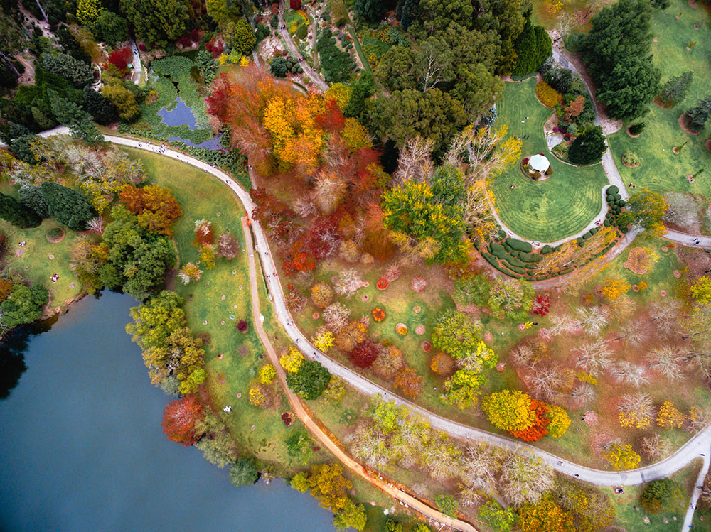 Aerial vew of Mount Lofty Botanical Gardens.