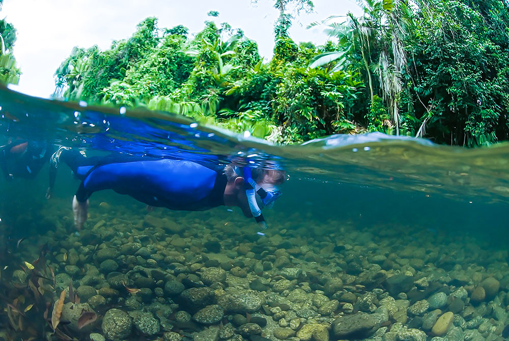 Snorkelling in the Mossman River.