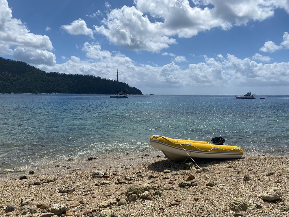 Coral beach at Butterfly Bay, Hook Island.