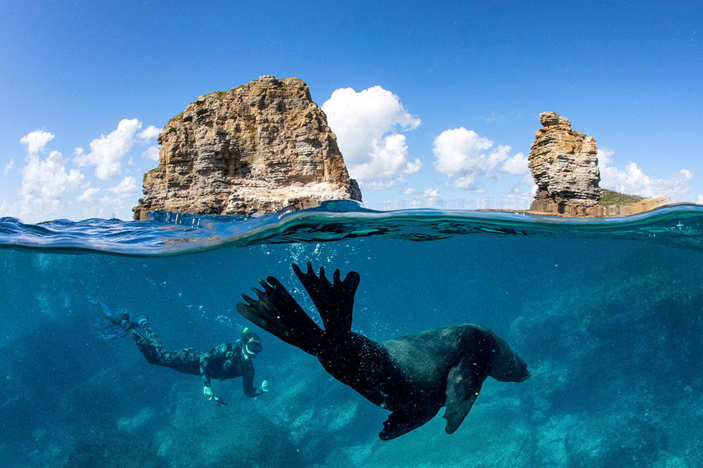 Diving with Dive Jervis Bay.