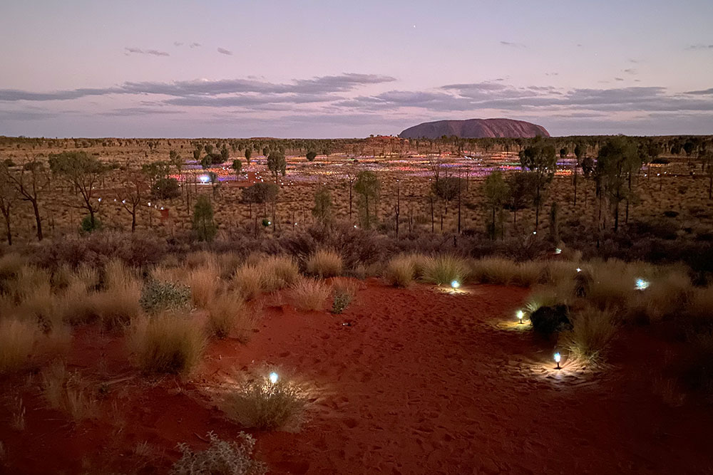 Uluru and the field of light.