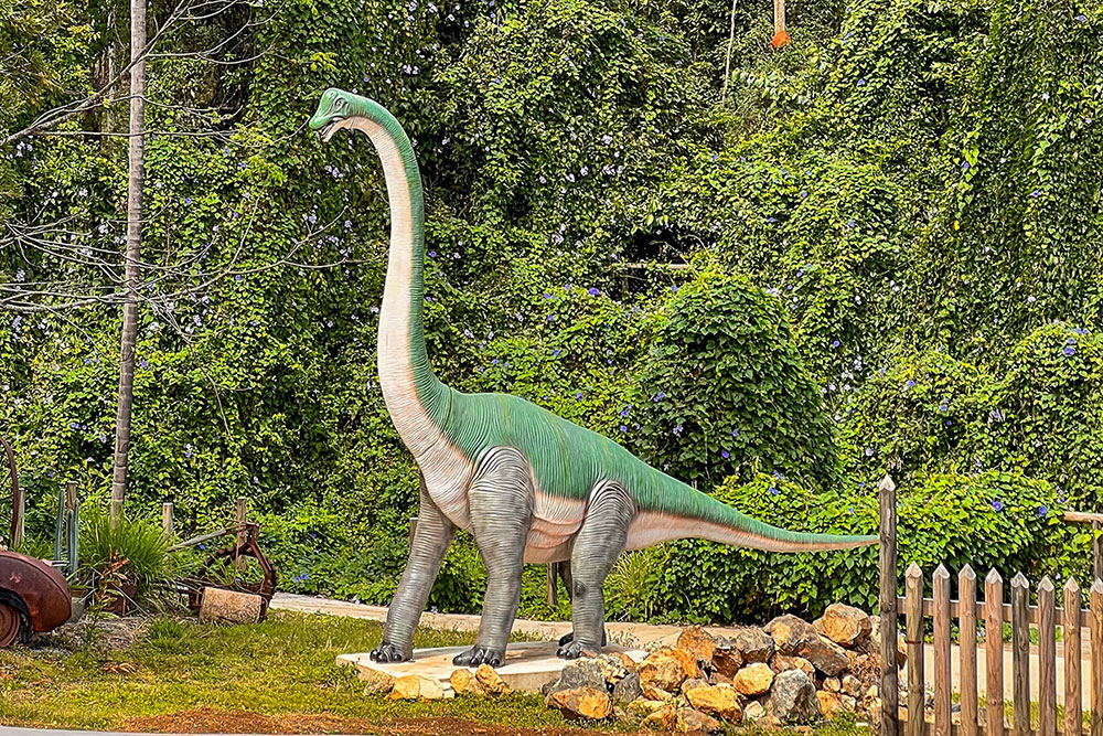 One of the attractions at Capricorn Dinosaur Park.
