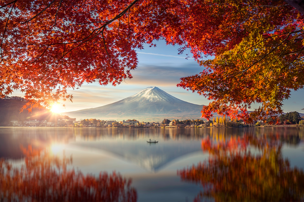 autumn season and mountain fuji kawaguchiko japan 1000x667