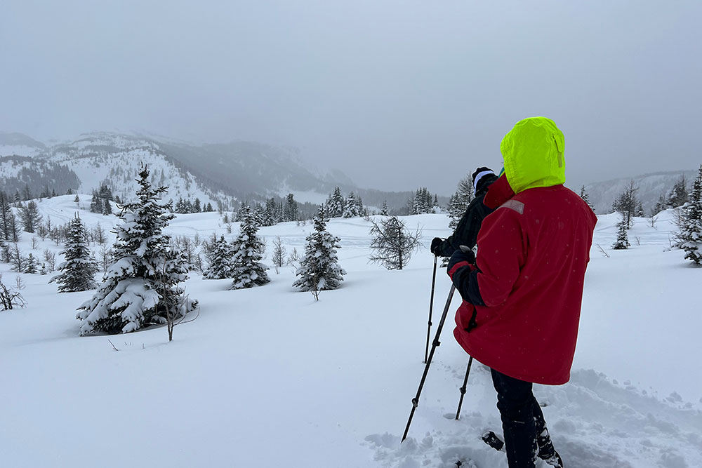 Snowshoeing with White Mountain Adventures.