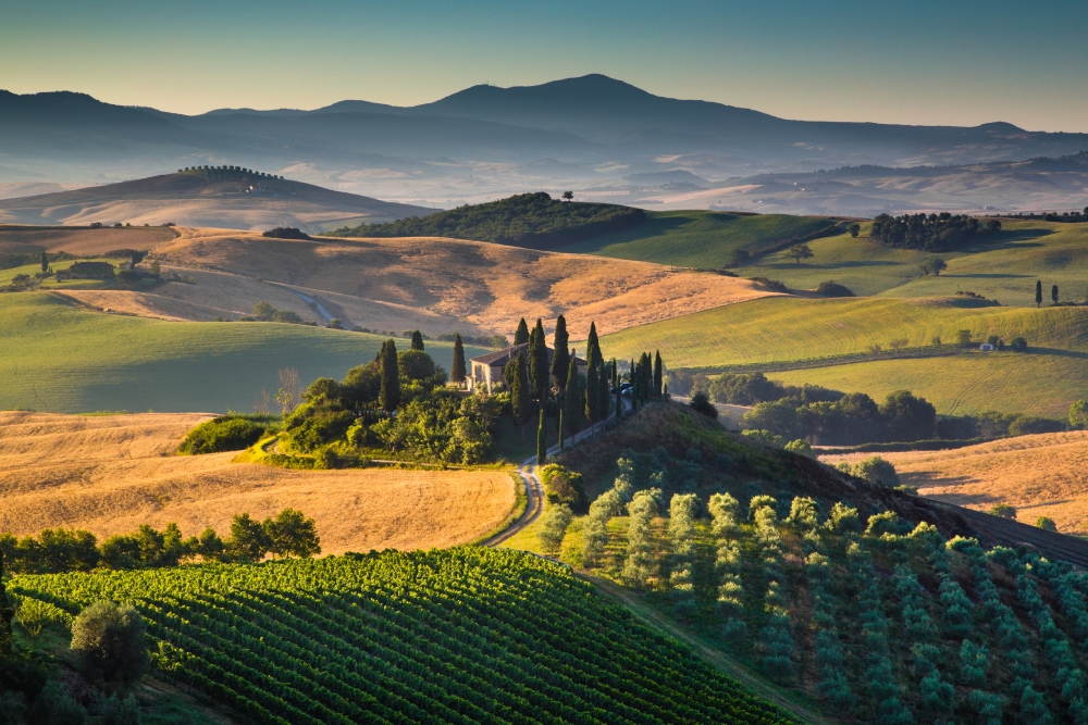 Scenic Tuscany landscape at sunrise, Val d'Orcia, Italy