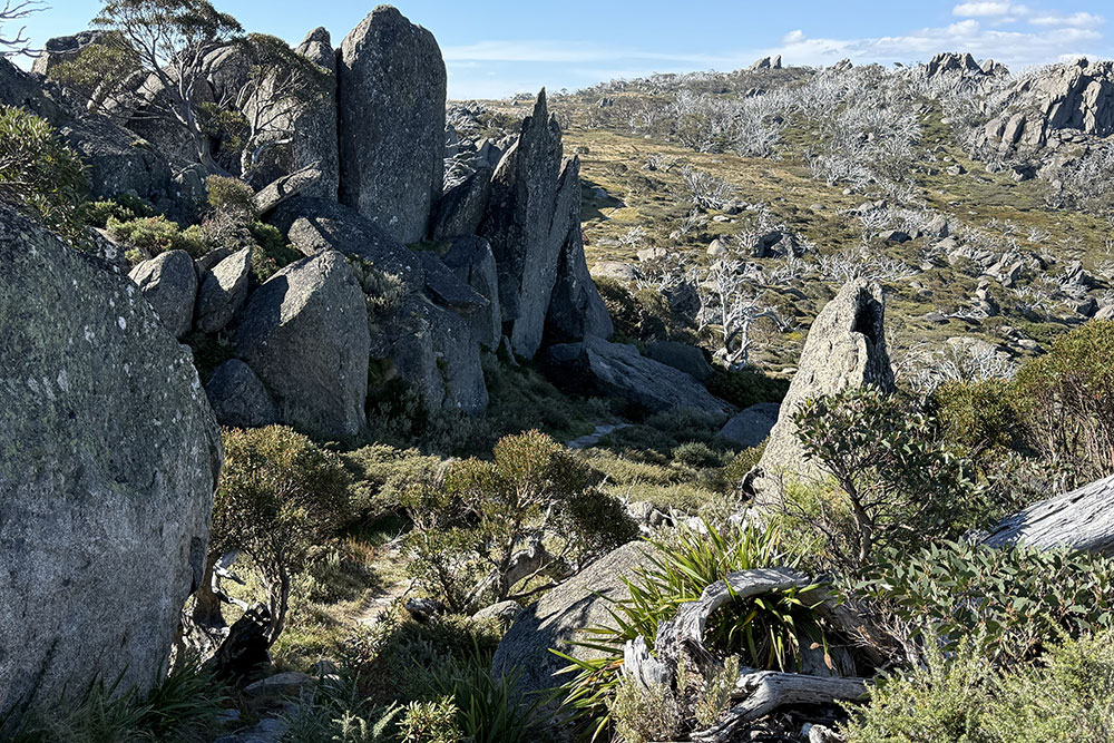A view between Charlotte Pass and Perisher.