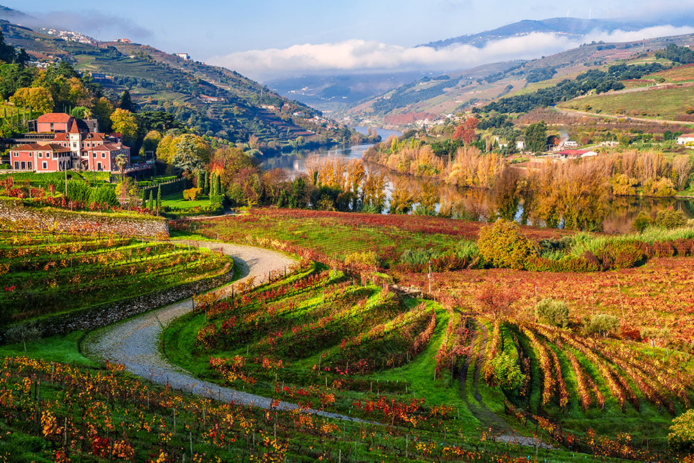 A view of the Douro River in Portugal.