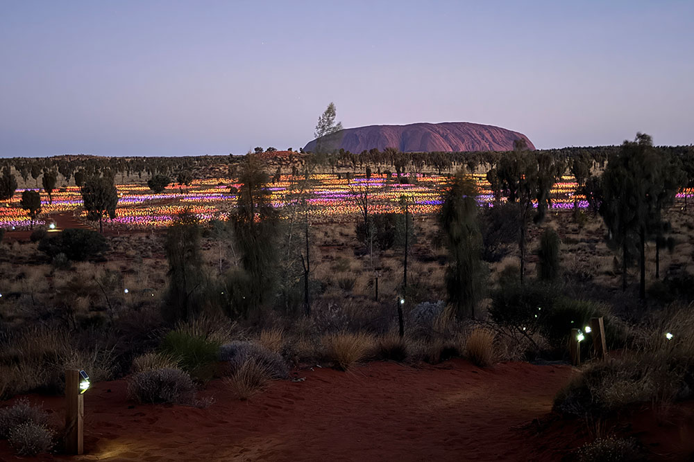 Field of Light show at Uluru.