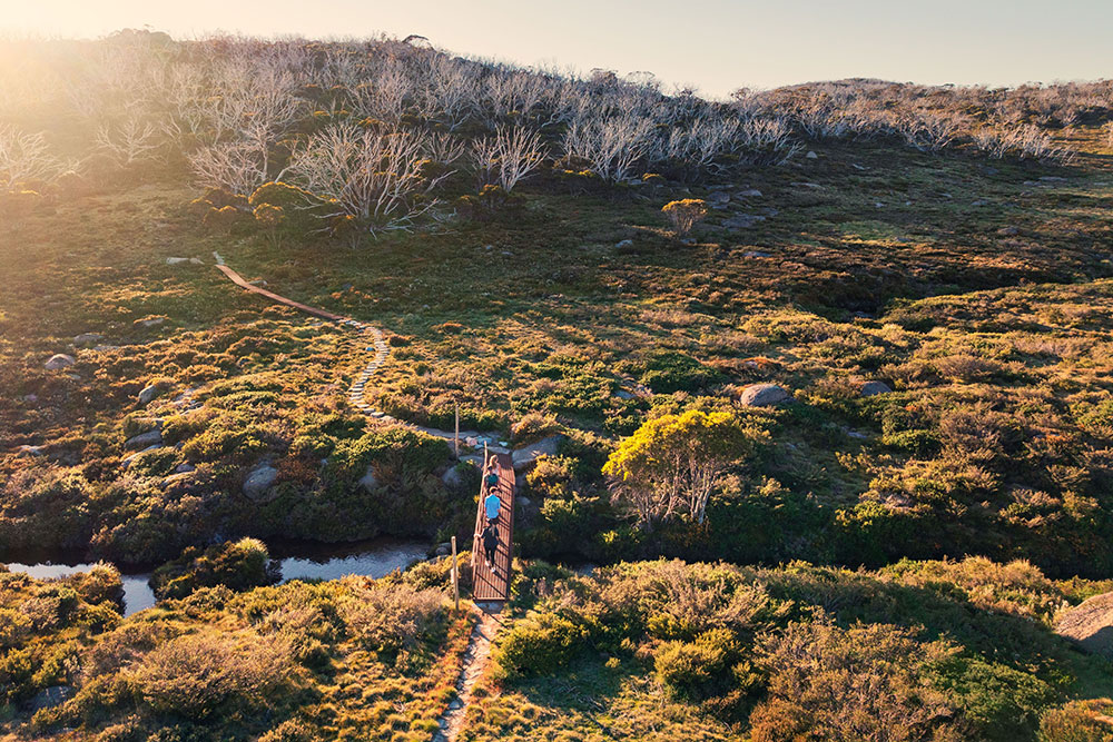 Hikers on the Snowies Alpine Walk.