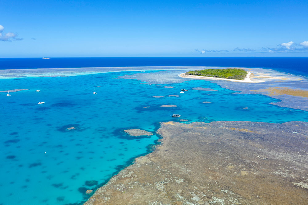 An aerial view of Lady Musgrave Island.