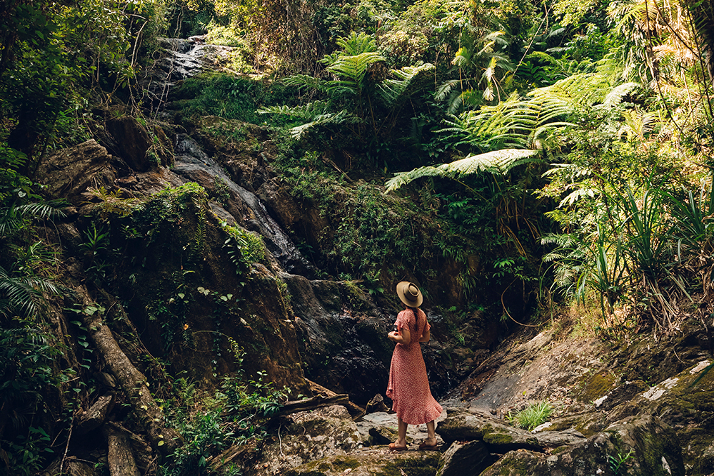 A woman looks at a rainforest waterfall at Daintree Ecolodge.