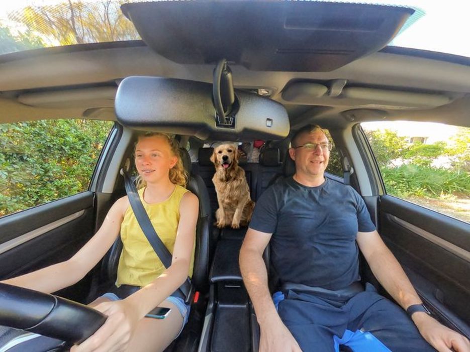 Learner driver, dog, quiz