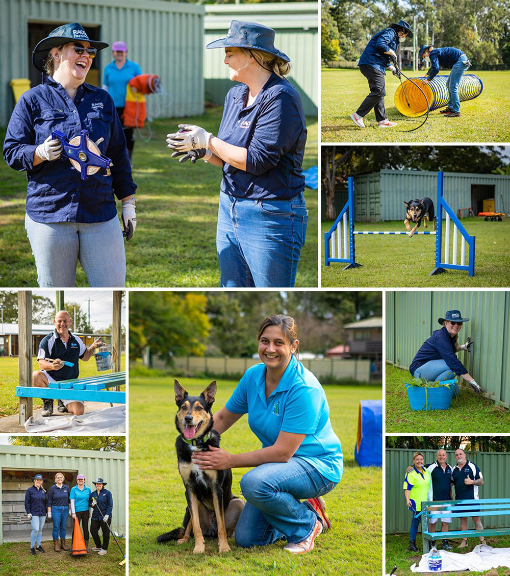 RACQ Foundation volunteers at Brisbane Dog Training Club.