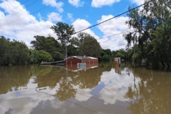 Brisbane_Dog_Training_flooded_1_600x