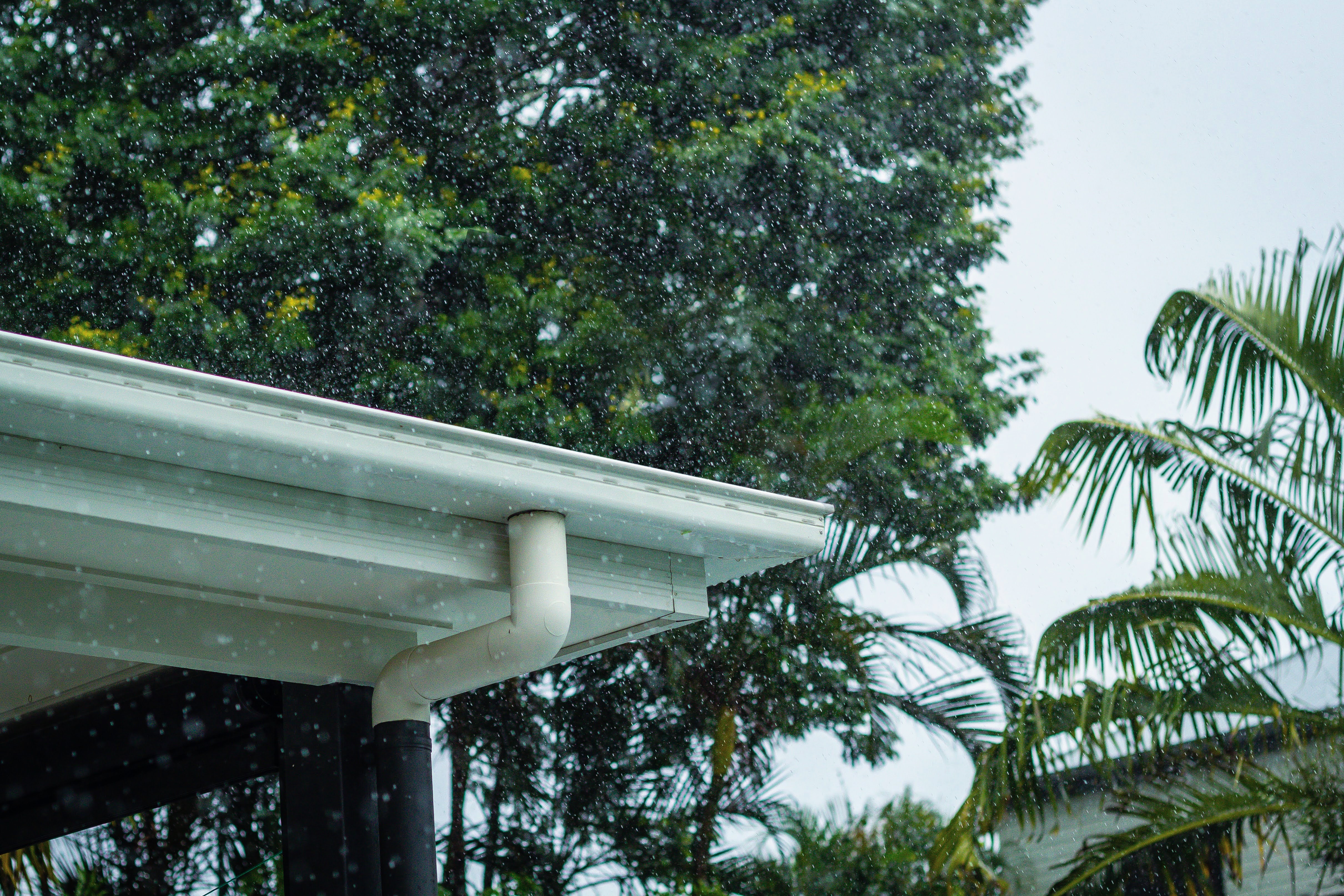 Top five tips for weathering the storm