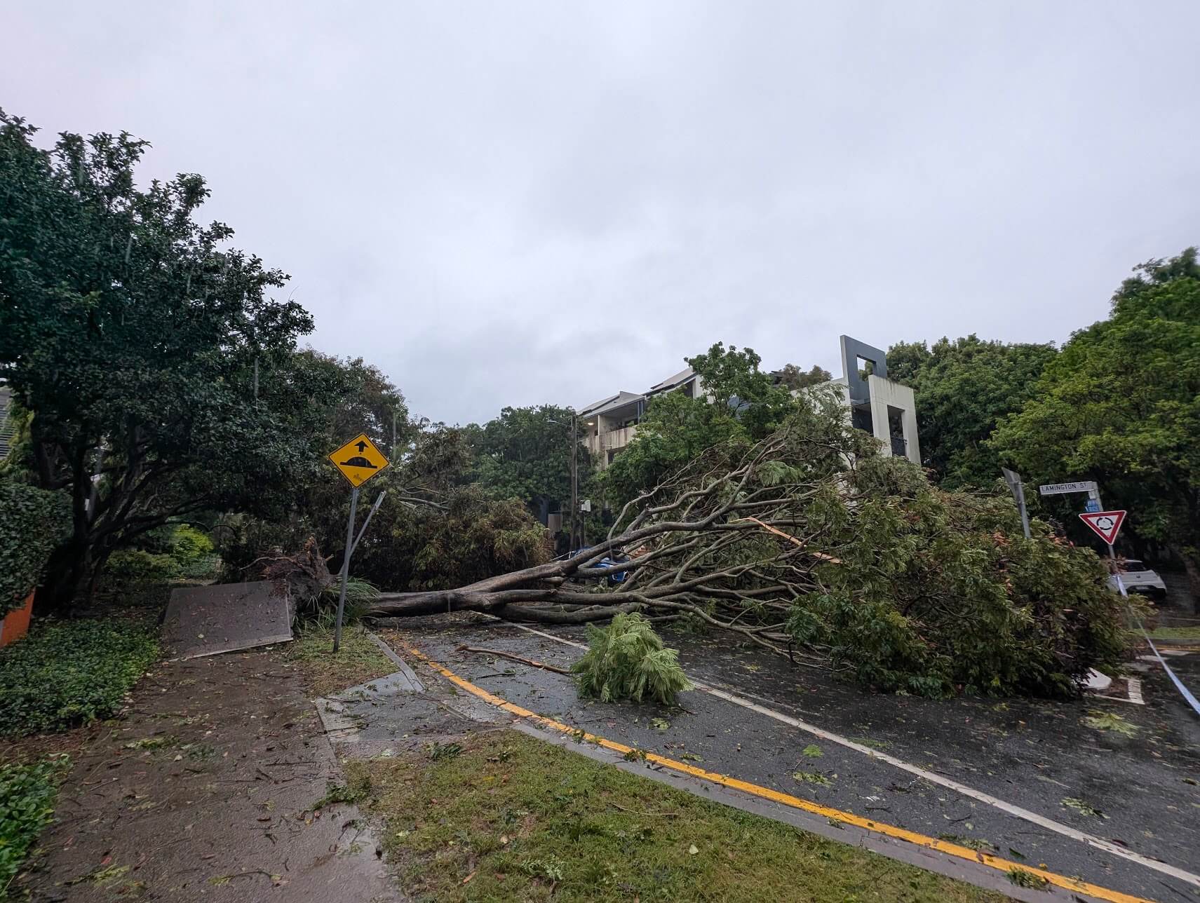 PXL_20250308_212713972