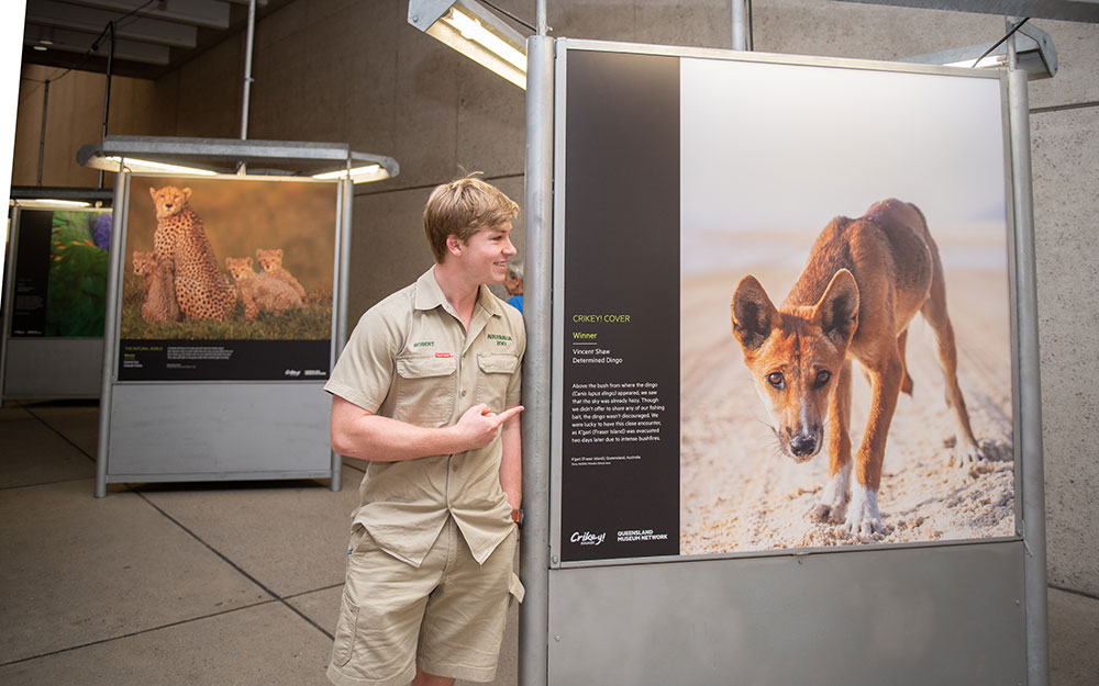 Robert Irwin pointing to a photo of a dingo