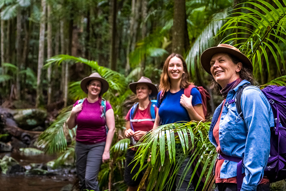 Three women on a guided bushwalking tour on Tambourine Moutain