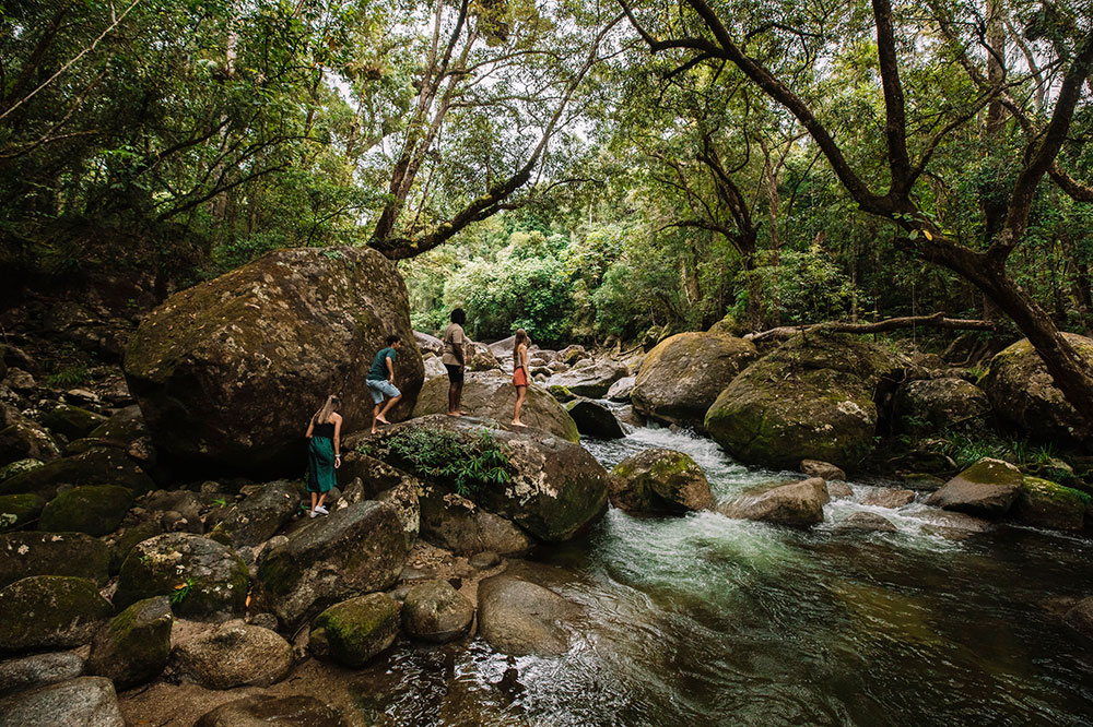 Mossman Gorge and Cultural Centre rainforest walk.