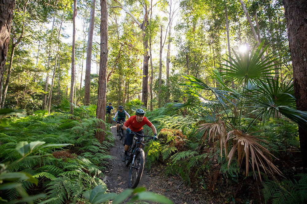 Riders on the Tewantin National Park MTB Trails.