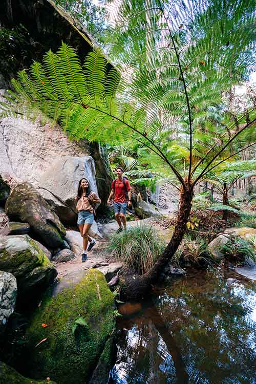 Carnarvon Gorge hiking.