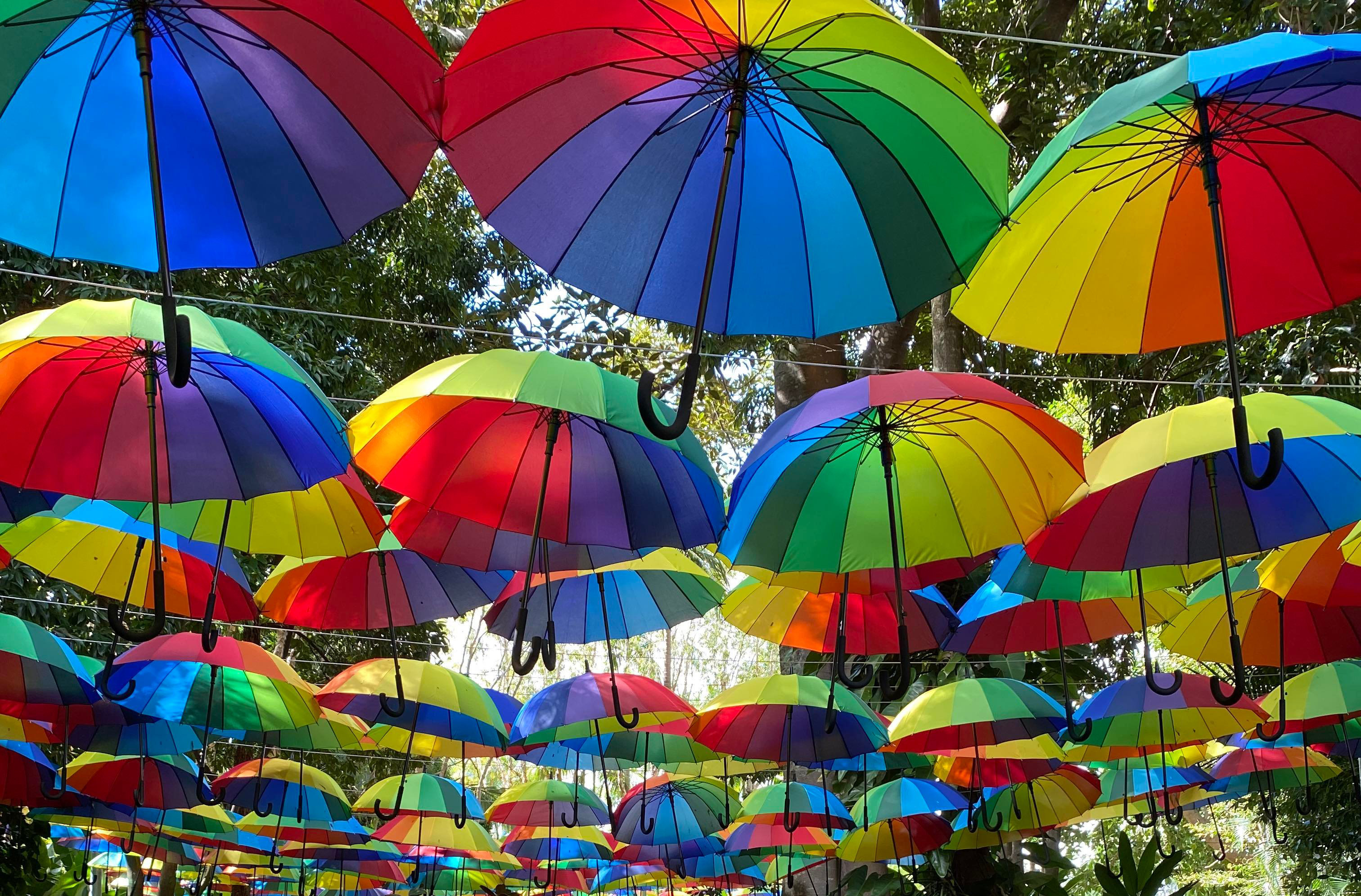 rainbow umbrellas  hanging over a walk way