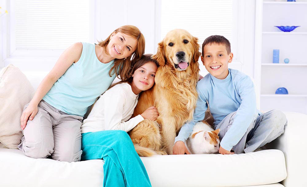 Family kneeling on couch with cat and dog