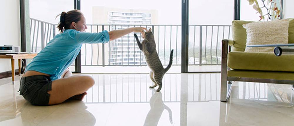 Woman playing with kitten
