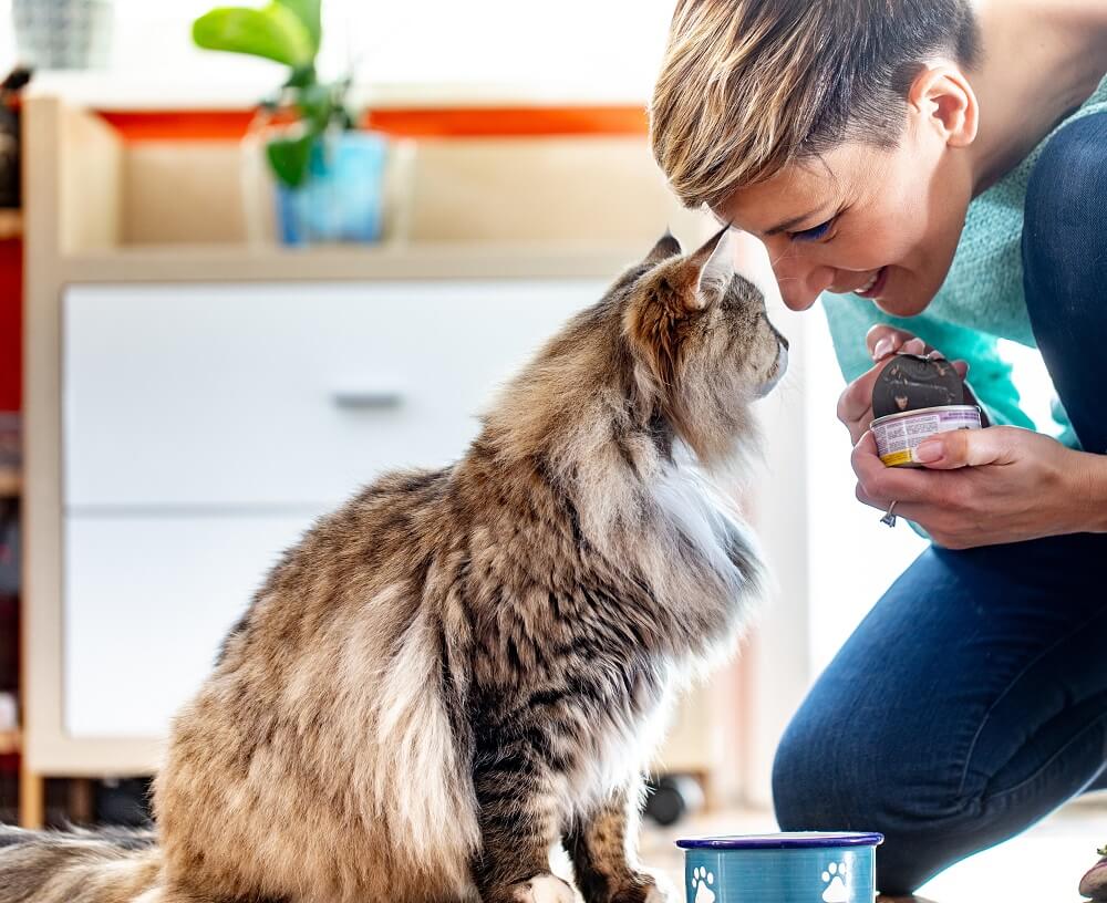 Woman opening a can of cat food for a fluffy cat