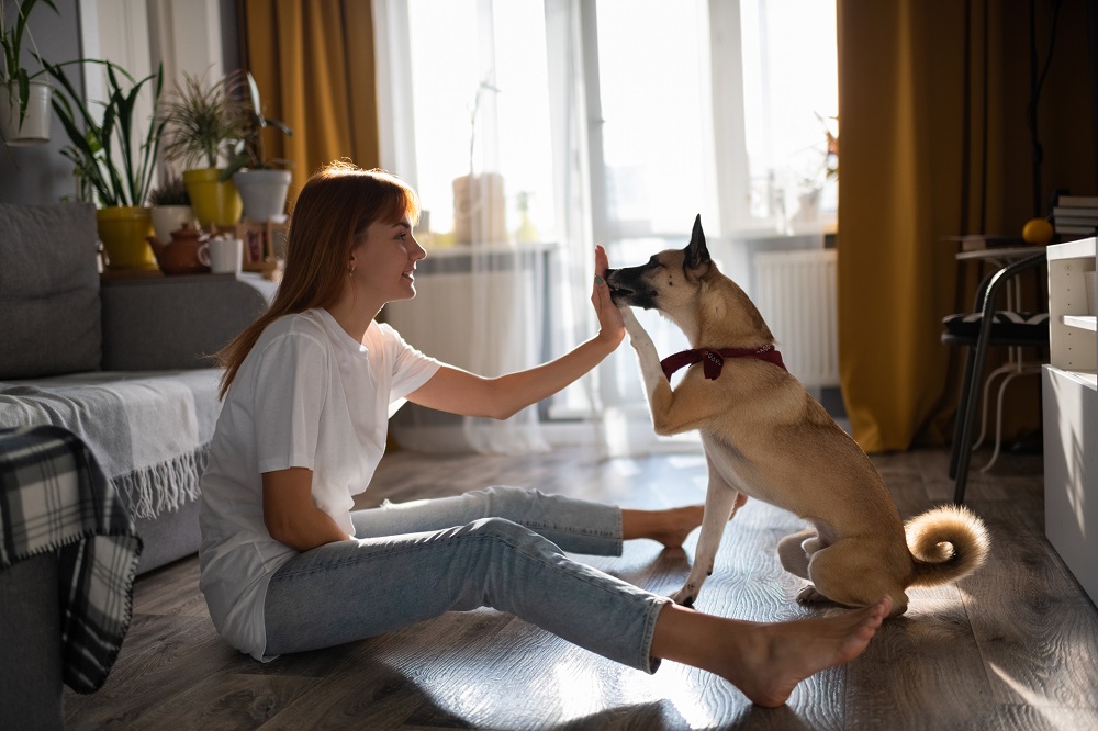 Woman training dog to high five