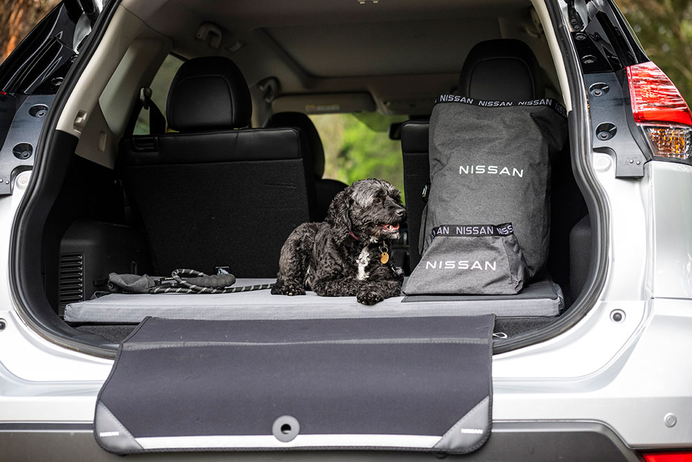 Dog in back of car with Nissan Dog Pack items.