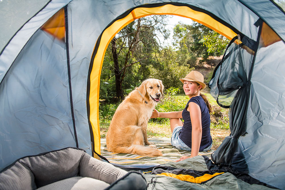 More people are taking their pets on holidays, including camping trips.