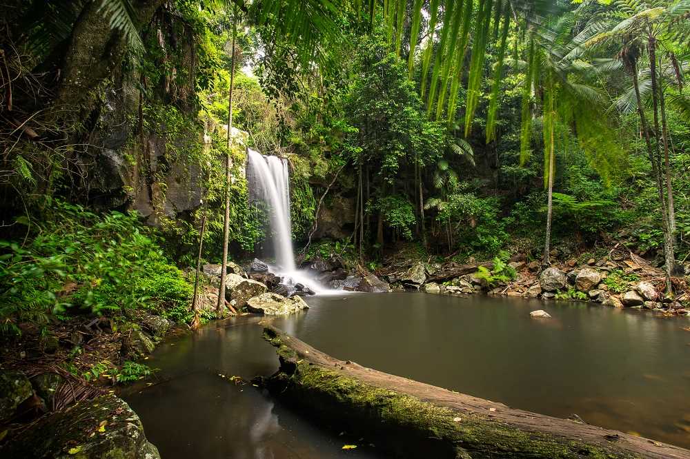 Mt Tamborine Curtis Falls