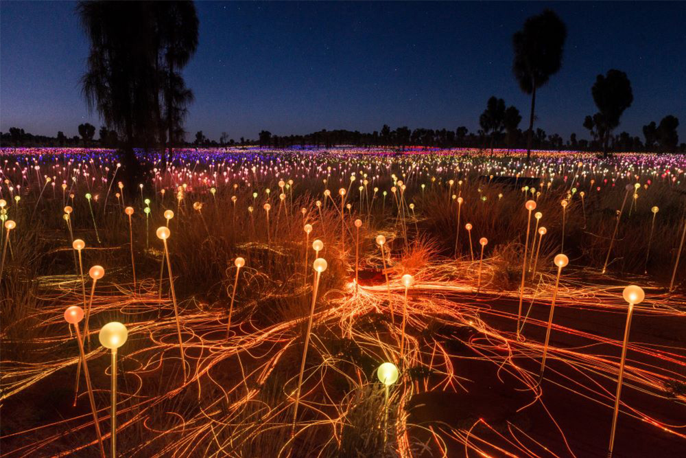 Field of Lights.